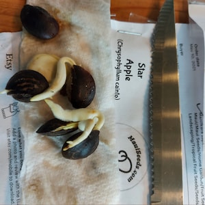 Tore added a photo of their purchase