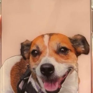Kelly hat ein Foto des gekauften Artikels hinzugefügt