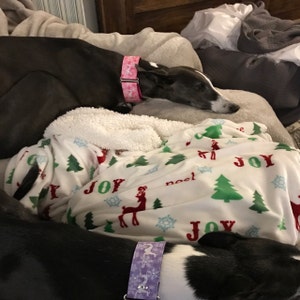 Brett added a photo of their purchase