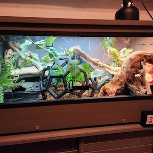 Megan ha añadido una foto de su compra