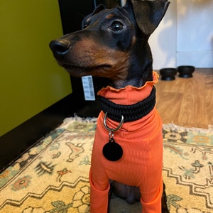 Harley added a photo of their purchase