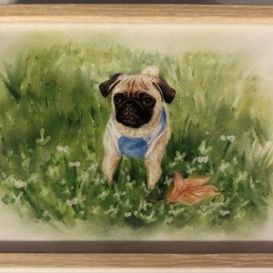 abby added a photo of their purchase