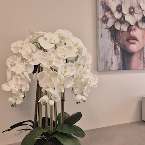 künstliche orchideen mömax Künstliche Orchidee - Leo | 100 cm main image 1