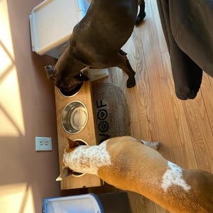 Samantha added a photo of their purchase