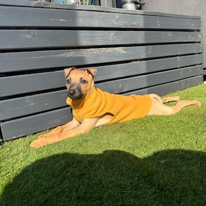Jethro heeft een foto van de aankoop toegevoegd