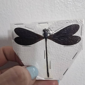 Anathea ha añadido una foto de su compra