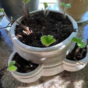Jennifer added a photo of their purchase