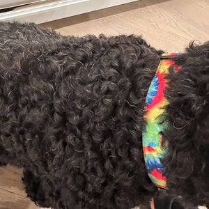 Dianne added a photo of their purchase