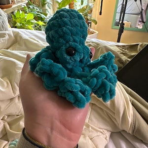 Haley’s ha añadido una foto de su compra