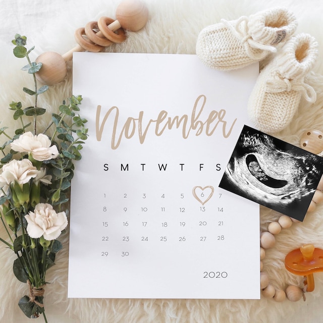 Fall Pregnancy Announcement for Social Media Pumpkin Baby