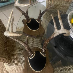 Thomas added a photo of their purchase