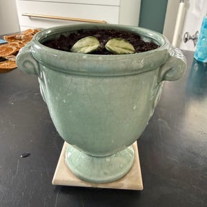 Melissa added a photo of their purchase