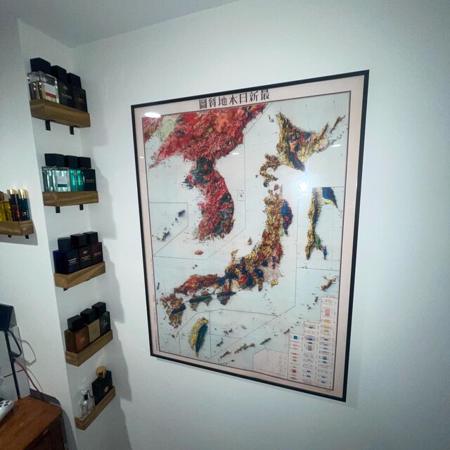 Japan, Korea, and Taiwan Geology Map - Vintage Topographic Relief