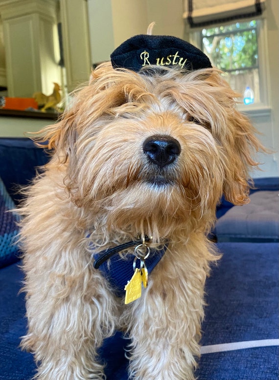 Customer photo of a pet with the Beret Personalized for small pet Raspberry
