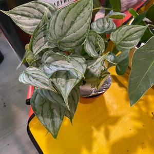 Rita added a photo of their purchase