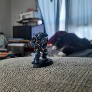 Deidre dodał(a) zdjęcie swoich zakupów