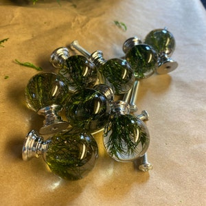 Mindy added a photo of their purchase