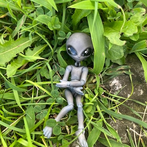 Fleshbird added a photo of their purchase