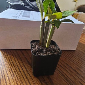 Sheri added a photo of their purchase