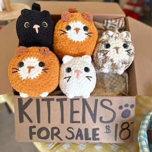 Amy added a photo of their purchase