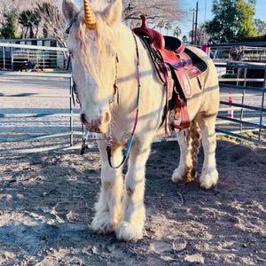 Nishine Diadema De Cuerno De Unicornio Con Purpurina Para