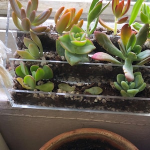 Amber ha añadido una foto de su compra