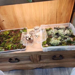 Melissa added a photo of their purchase