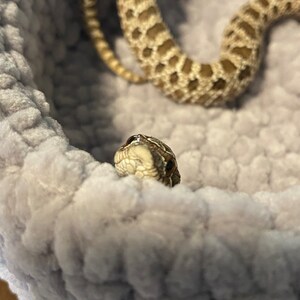 Rebecca added a photo of their purchase