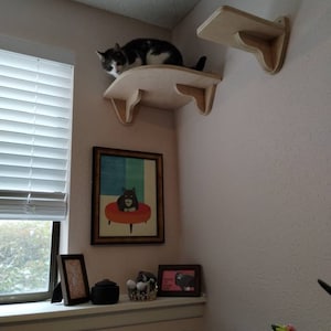 Amanda added a photo of their purchase