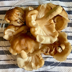 Gray added a photo of their purchase