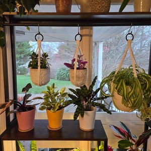 Laura added a photo of their purchase