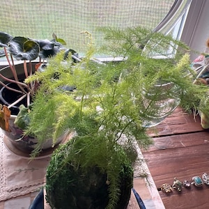 andrea ha aggiunto una foto del proprio acquisto