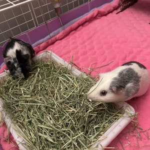 Yaniliz added a photo of their purchase
