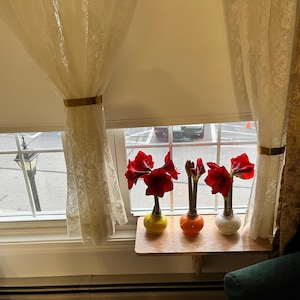 Susanne added a photo of their purchase