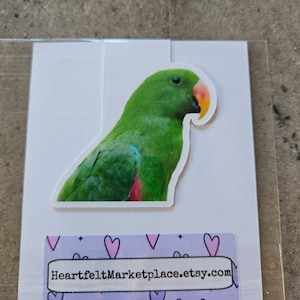 Lisa added a photo of their purchase