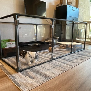 modern dog pens