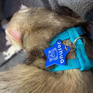 Katie added a photo of their purchase