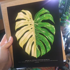 Lawana added a photo of their purchase