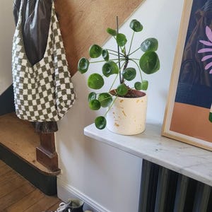 sofea added a photo of their purchase