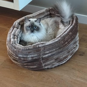 Go added a photo of their purchase