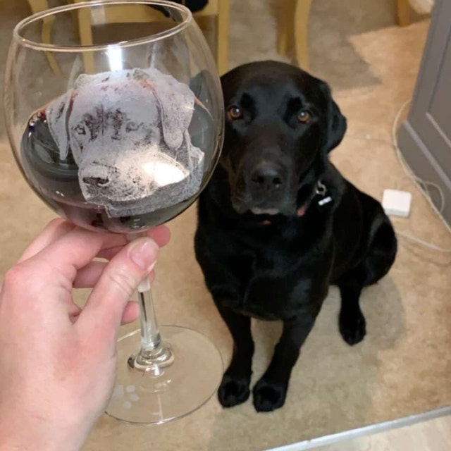 Etched Belgian Tervuren on Large Elegant Wine Glasses Set of 2