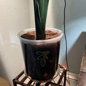 Tammy added a photo of their purchase