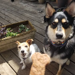 Maxx hat ein Foto des gekauften Artikels hinzugefügt