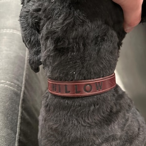 Quinten a ajouté une photo de son achat