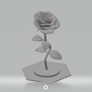 feyza added a photo of their purchase