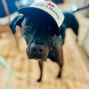 Carrie ha añadido una foto de su compra
