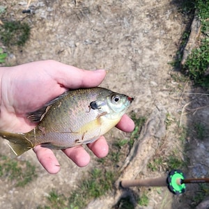 Dustin added a photo of their purchase