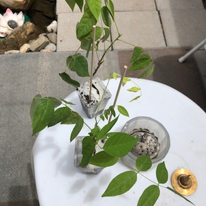 Yuit ha añadido una foto de su compra