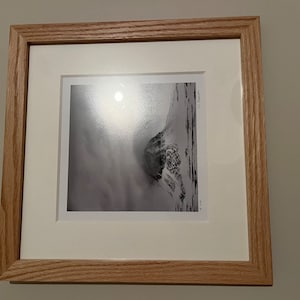 Freyja added a photo of their purchase