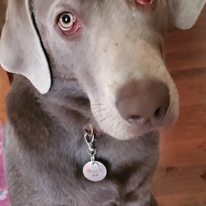 Susan added a photo of their purchase